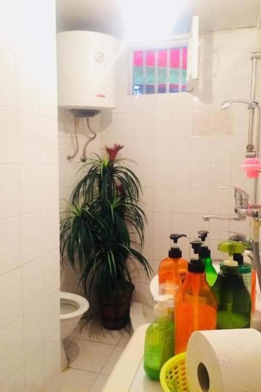 דירות טביליסי Lika'S Hause מראה חיצוני תמונה